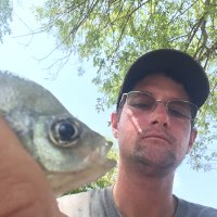Brian🇺🇸 (@brh1776) 's Twitter Profile