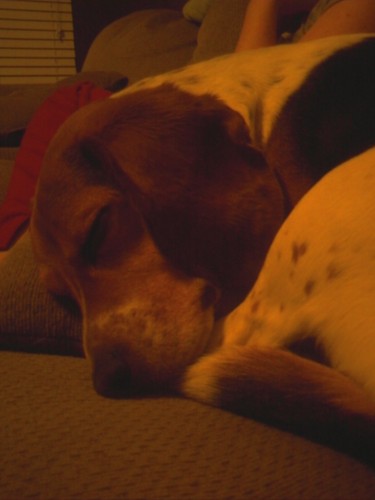 cmudd9's profile picture. 