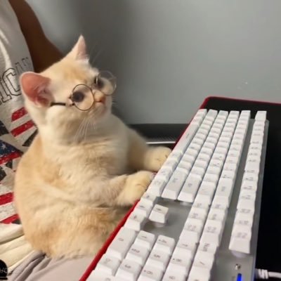 Linc58765843's profile picture. 