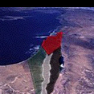ba7bekmoot1's profile picture. 