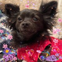 mairin (@mairin8) 's Twitter Profile