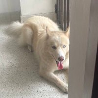 Dra. Phalanges π (@draphalanges) 's Twitter Profile