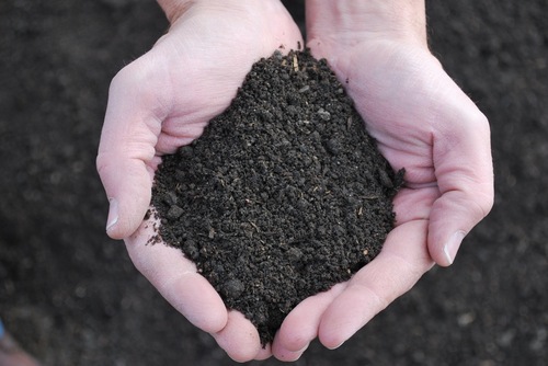 Hrvst_GardenPro's profile picture. Providing top quality soil, mulch and stone products.