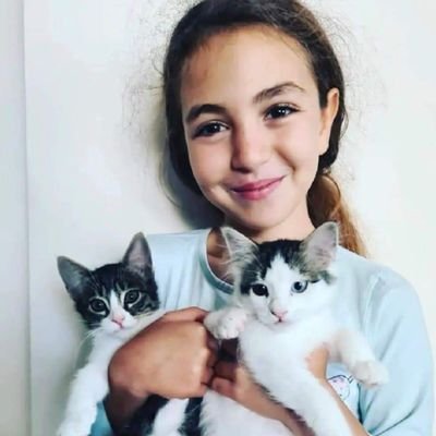 Proton78022724's profile picture. Başıboş köpek sorunu haklı davamız