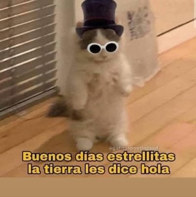 IsmaelVisa's profile picture. 🔥