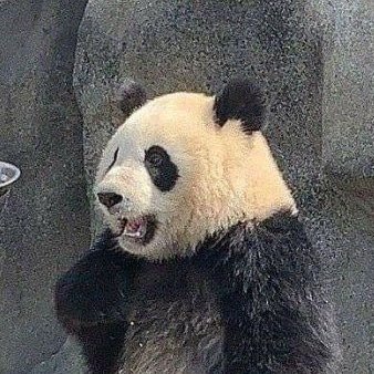 MRSKTK193's profile picture. 