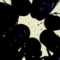 WOKESDL* (@wokesdl) 's Twitter Profile