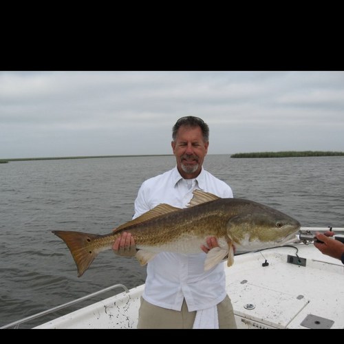 rededdy56's profile picture. Trust in the Lord with all your heart and lean not on your own understanding; In all your ways acknowledge Him and he will make your paths straight. Pr 3:5-6