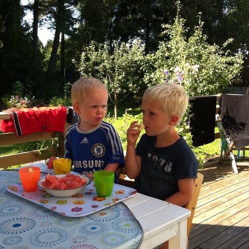 daniellohm's profile picture. 