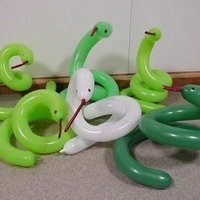 b1dl0 (@b1dl0) 's Twitter Profile