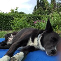 Maike (@aucheinwunder) 's Twitter Profile