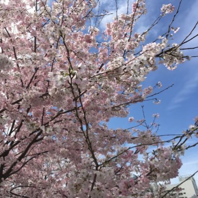 41歳、何も出来ませんが何でもやります!相互フォロー募集中です!特にハナハナ好き大歓迎です🌺