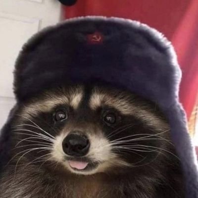 bednyi_yorick's profile picture. профессиональные ~мыслеизлияния на тему~ в комментах
