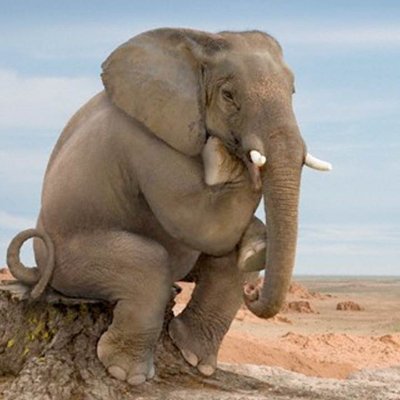 AndoniSagarduiL's profile picture. Asesor de comunicación.