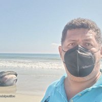 Roberto Agustiniano (@portal_panorama) 's Twitter Profile