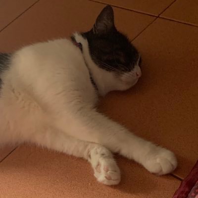 199_lockcontent's profile picture. 199฿ จ่ายก่อนเข้า