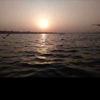 IshwarKasniya1's profile picture. 🙇🙇🙇🙇