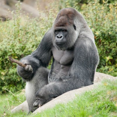 JET50695559's profile picture. 専業ブロガー／アフィリエイター。元ライター。 ブログで稼ぐためいろいろ試したことなどつぶやいてます。サラリーマンつらくて30歳脱サラ→稼げず借金地獄→WEBライターでCWランク入り→ブログ始めて月80万円（今ここ）→月100万円（もうすぐ？）