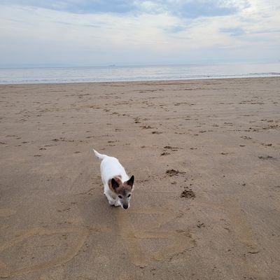 Tofu-munching nature nerd. Recently retired from NHS after 40+ years in health and social care. NED roles in social housing and third sector. Views are my own.