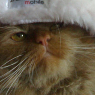 GaAkimenko's profile picture. 