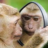 prime_sp8u's profile picture. Trader | Advanced Beginner.