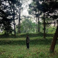 Gus mawan (@ggusmawan_) 's Twitter Profile