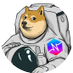 PulseDogElon 🐶 (@pulsedogelon) Twitter profile photo PulseDogElon 🐶 (@pulsedogelon) Twitter profile photo
