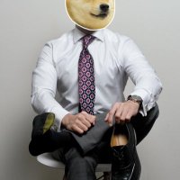 bibik1069 (@bibik32012229) 's Twitter Profile Photo