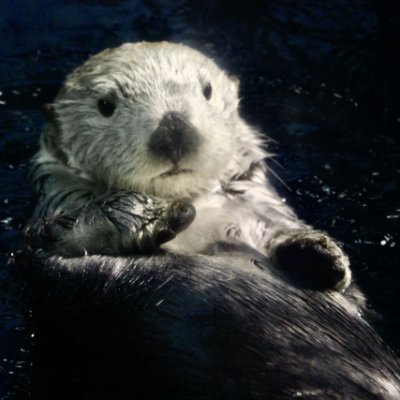 DesignMoyo's profile picture. BXデザイナー｜デザインチームマネージャー(悩める新米)｜美大卒→toC→制作会社→現職｜制作会社時代にクライアントのブランド構築支援の経験を活かして、グラフィック・印刷からWEB、プロダクトへ領域拡大中｜ブランド体験の浸透発展に奮闘中