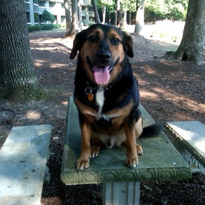 cyo296871's profile picture. nothing fancy here