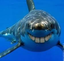 wil je wat lollige tweets,volg ons dan (: