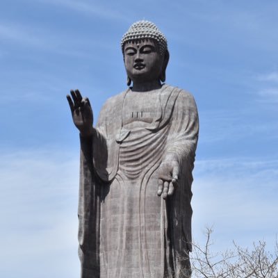 じょぎさんのプロフィール画像