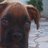 momev48's profile image