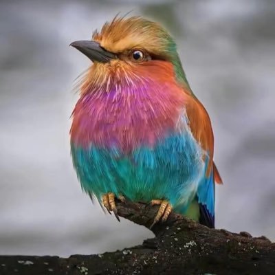 18790237's profile picture. 