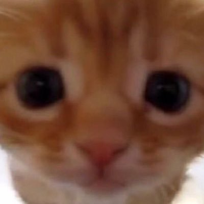 dooaok's profile picture. 