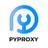 pyproxy_com public image from Twitter