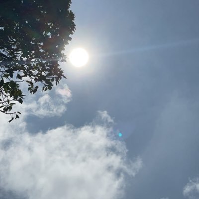 mew_7882's profile picture. 