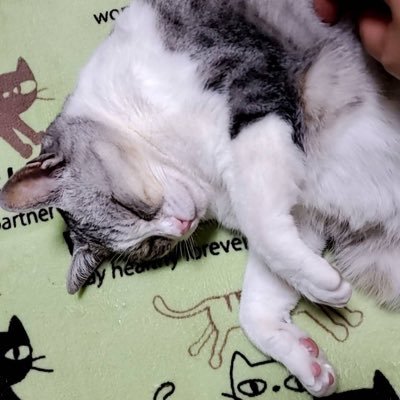 えるも.さんのプロフィール画像
