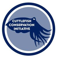 Cuttlefish Conservation Initiative - CCI(@cuttle_cons) 's Twitter Profile Photo