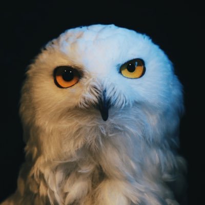よふさんのプロフィール画像