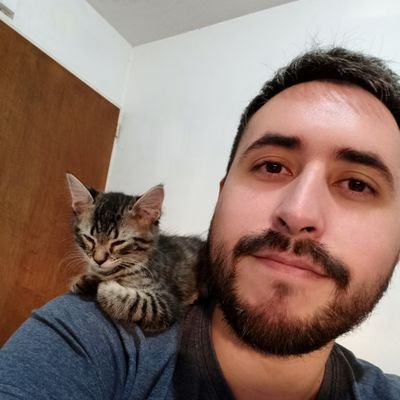 Psicólogo, Potterhead, Whovian, Simpsonito y Monotributriste.

Ahora también streamer!