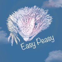 Easy Peasy〜レプタイルズサークル6/1(土) 出店〜(@easypeasy_rep) 's Twitter Profile Photo