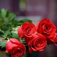 Murat7murad (@murat7murad) 's Twitter Profile