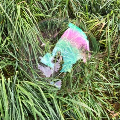 anonymousnanny2's profile picture. Trans nanny, imagining a world where it’s normal for kids to have what they need. They/them. White. Children’s rights are human rights. Black Lives Matter.