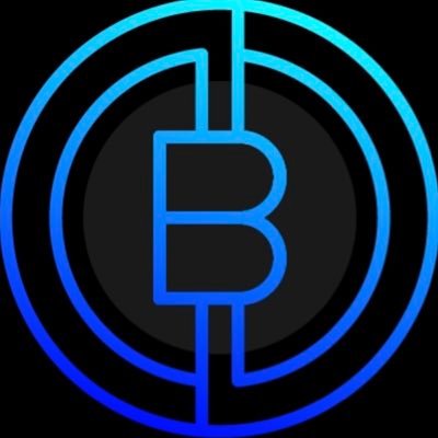 Blueprint Algo provide a fully automated copy trading service that allows you to trade safe safely on a copy trading platform.