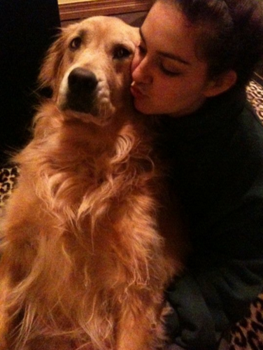Hey Guys, 
I'm Tilly Ritzman! I am a beautiful golden retriever that has just been diagnosed with cancer,, :( I am starting a blog about my life #Pray4Tilly