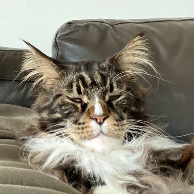 CNL9000's profile picture. Studies have shown that it’s often the most informed people who have the most extreme views...