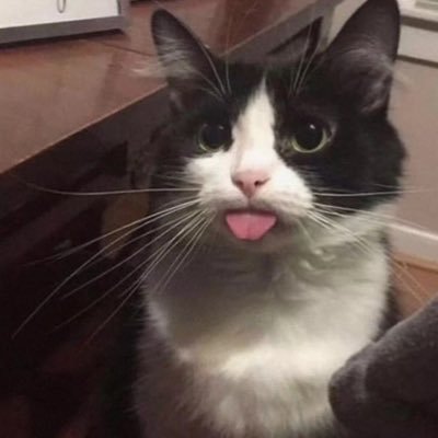 a3086432631's profile picture. 