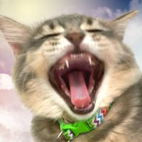 ྀི farahtots 💜 BORA 보라 ྀི (@frhtots) 's Twitter Profile