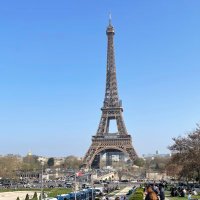 FloBi (@flobi81) 's Twitter Profile